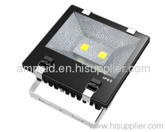 LED Flood Light