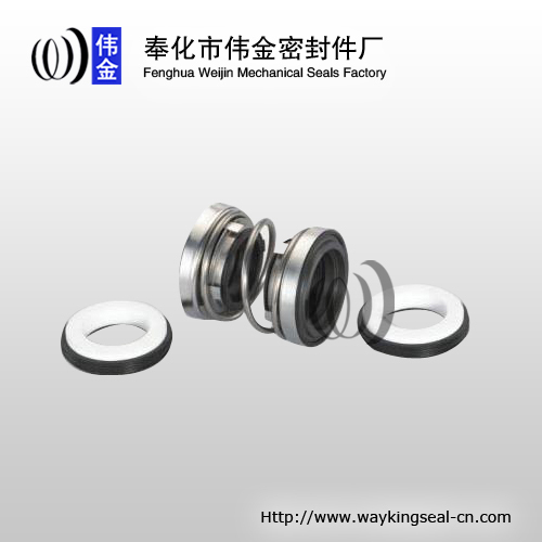 double mechanical shaft seals