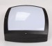 Outdoor LED Wall Light