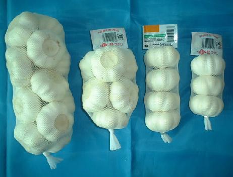 2/3/4/5pcs/bag, 10kg/ctn--garlic
