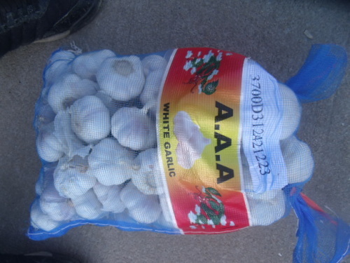 10kg/mesh bag--normal white garlic