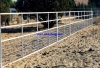 Agriculture >> Animal & Plant Extract p-k2 new style high quality horse corral