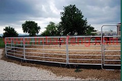 p-i25 new style cheap horse round yard