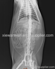 Medical image film,medical dry film,image film,x ray dry film