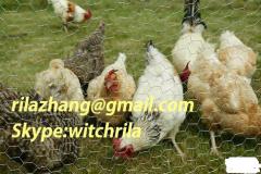 Chicken wire mesh export a ton pet cage pet cage manufacturer/wholesaler