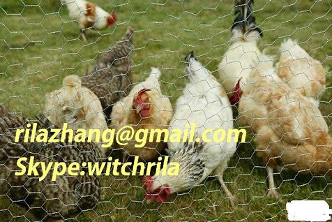 Chicken wire mesh export a ton pet cage pet cage manufa