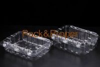 DCA-100E-CH Fruit&Vegetables Packing container