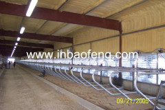 cattle equipment free stalls