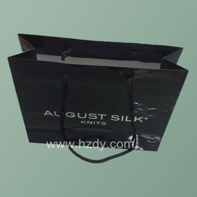 Glossy Paper bag