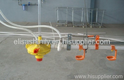 Poultry Automatic Drinking System