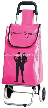 Leisure fashion style shopping trolley bag