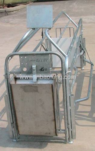 xinbaofeng galvanized gestation stall