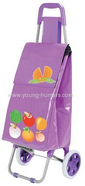 colorful fold up trolley bag for outdoor
