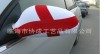Custom England Car mirror cover