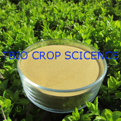 Fulvic Acid Powder