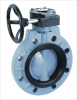 Butterfly Valve