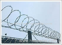 Concertina Wire