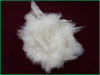 White cashmere fibre