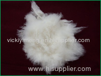 White cashmere fibre