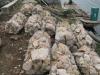 woven sack gabion