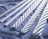 Galvanized Steel Wire Rope