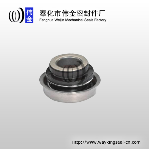 mechanical seal for automobile engine