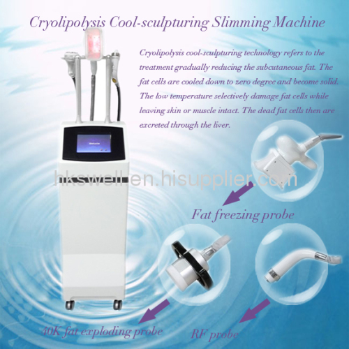 cryolipolysis body sculpting slmming machine