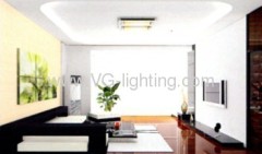 T5 Electronic wall lamp/with diffuser/Built-in electronic ballast/without switch