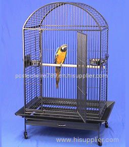 Medium Bird Cages