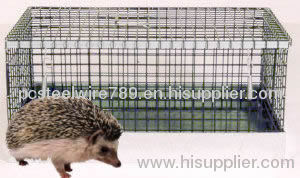 Hedgehog Cage