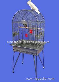 Parrot Cage