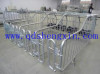 Pig Farm Sow Monomer Fence