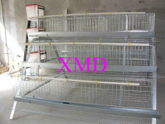 A and H type chicken cage