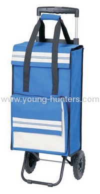 foldable shopping bag trolley