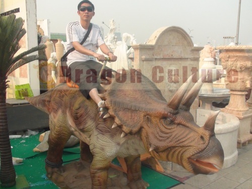 dinosaur skeletons