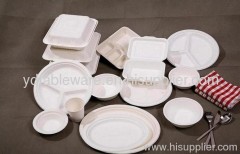 disposable biodegradable dinnerware