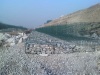 pvc galfan coated gabion mesh