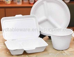 disposable biodegradable lunch box