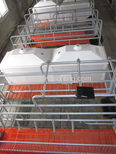Hot sales farrowing crates for pigs