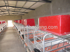 European/Austrialia tubular Sow Stalls