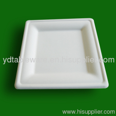 rectangular paper plate