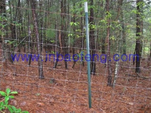 p-k40 new style wire mesh fence