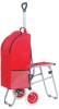 telescopic hand trolley bag with seat