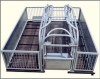 Galvanized pipe limited sty pig farrowing crates