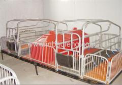 Scientific galvanized pipe pig farrowing crates