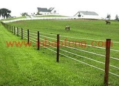 new style high quality farm fences