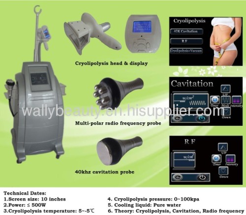 Cryolipolysis body shaping system