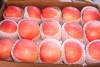 fresh fuji apple, red fuji apple, fresh apple, yantai apple, yantai red fuji apple