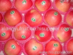 fresh gala apple, gala pple, royal gala apple, fresh apple