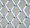 Standard chain link mesh